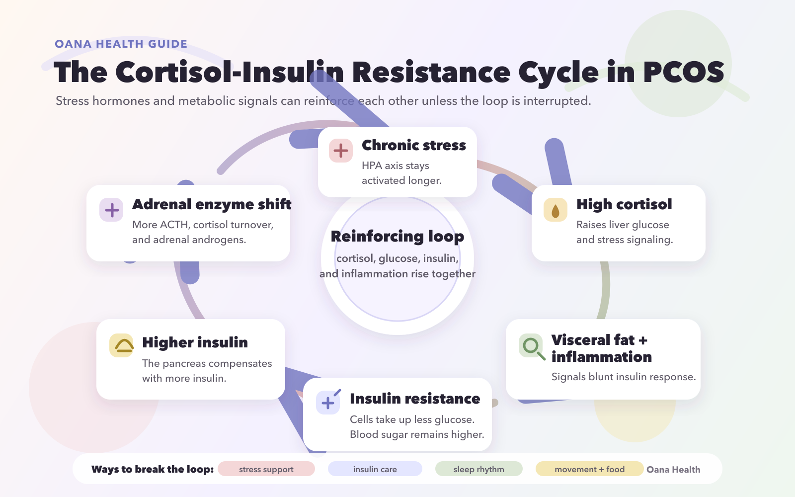 The Cortisol-Insulin Resistance Cycle in PCOS