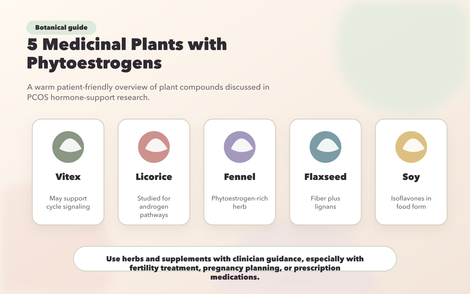 5 Medicinal Plants with Phytoestrogens for PCOS Treatment